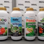 Frascos y Garrafas Inflables Publicitarias 16 garrafas sumitomo chemical