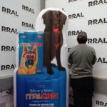 Semiplanos Inflables Publicitarios 18 semiplano italcan azul